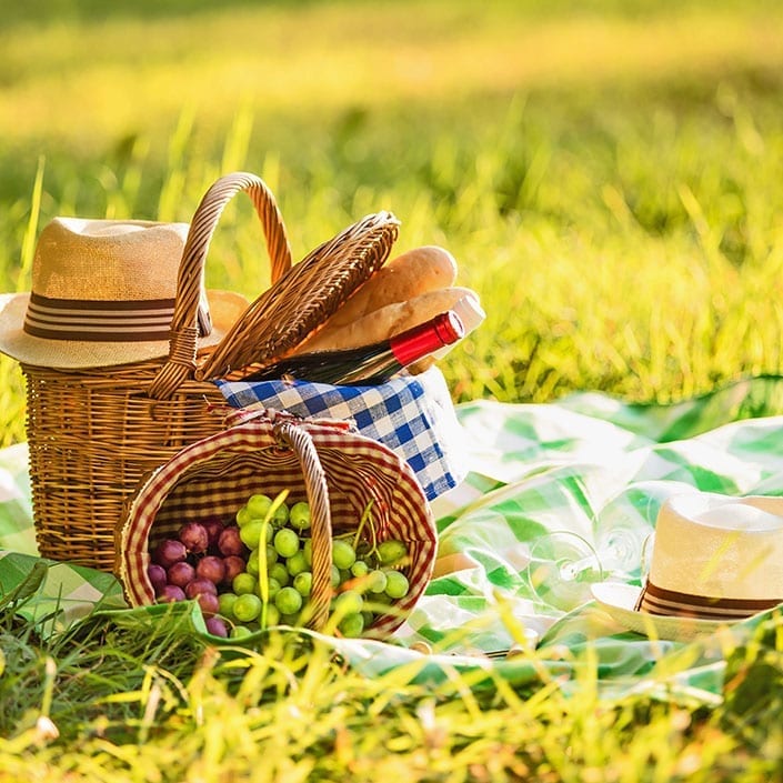 Panier pique-nique avec raisins, pain et une bouteille de vin dans un parc