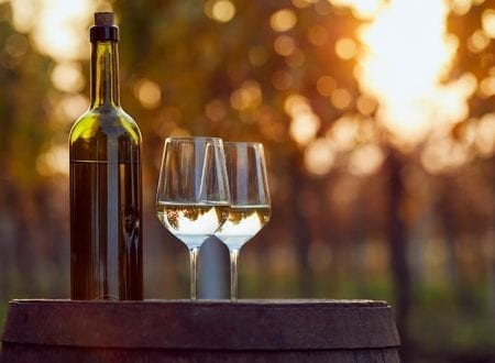 Two Glass of Wine and a Bottle in a garden