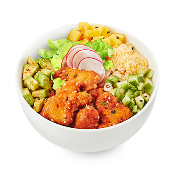 Karaage Chicken & Mango